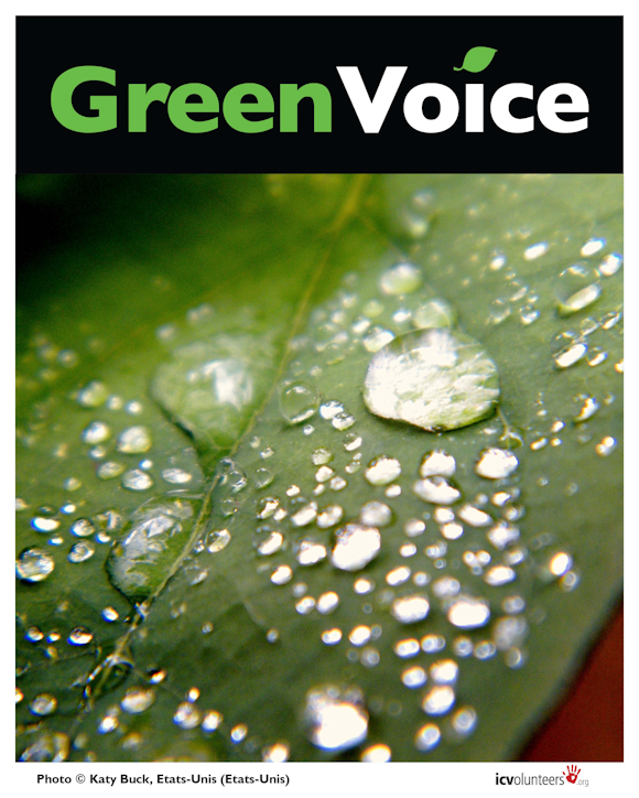 ./greenvoice/gallery/Gallery/Panels/greenvoice-056.jpg